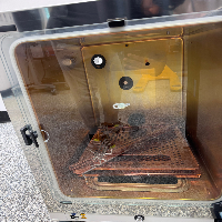 Thermo HERAcell Vios 160i CO2 Incubator image 2